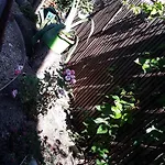 Casa Silvia 2* אפורי נורד