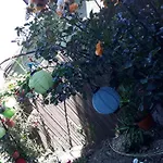 Casa Silvia Gæstehus 2*