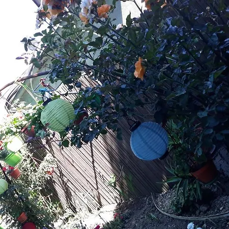 Casa Silvia 게스트하우스 2*