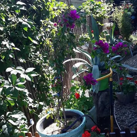 Casa Silvia Gasthof 2*