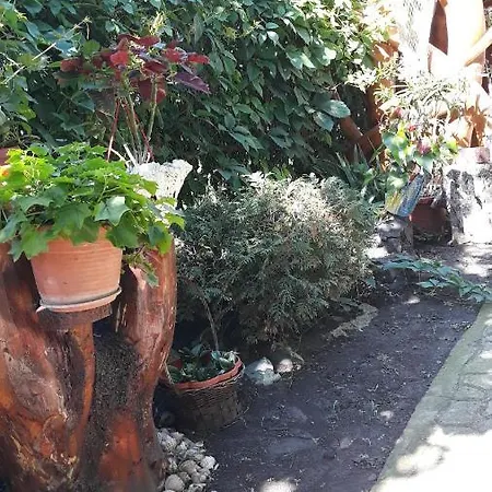 בית הארחה Casa Silvia 2*