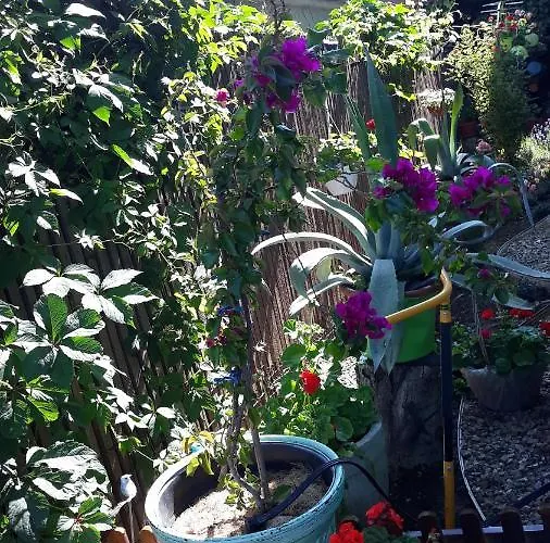 Casa Silvia Vendégház 2*