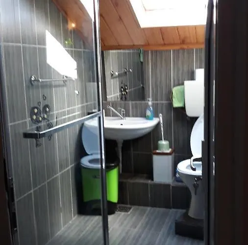 Vendégház Casa Silvia 2*