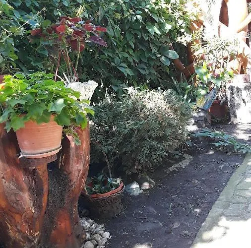 Casa de hóspedes Casa Silvia 2*